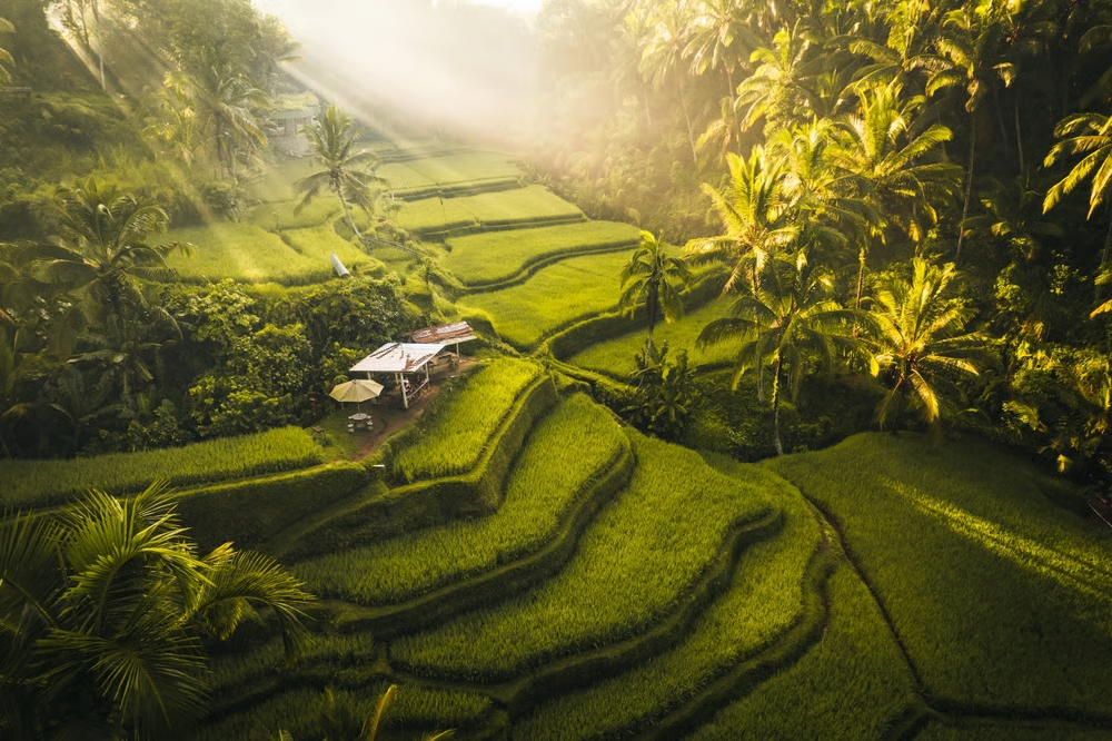 Bali Travel & Honeymoon Guide