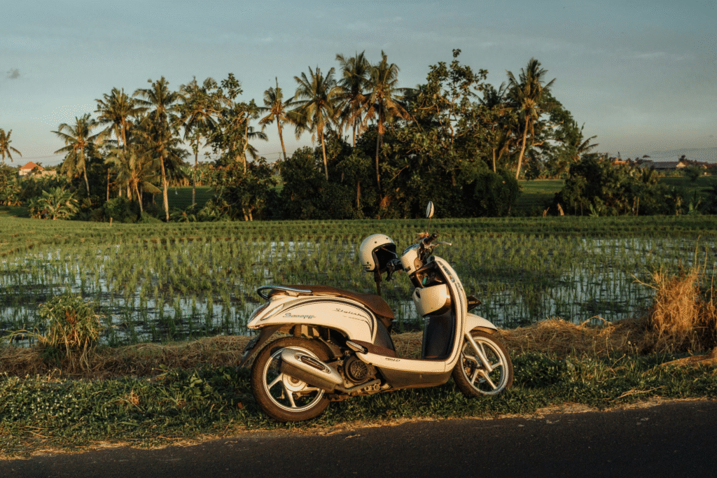 Bali Travel & Honeymoon Guide