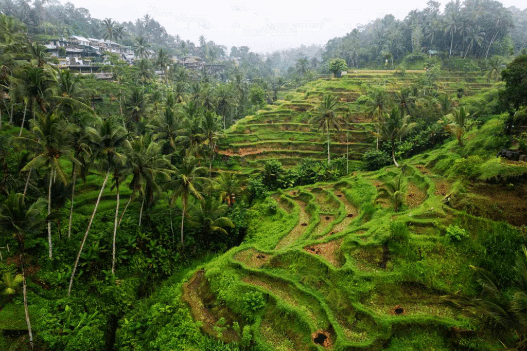 Bali Honeymoon Guide for Australians