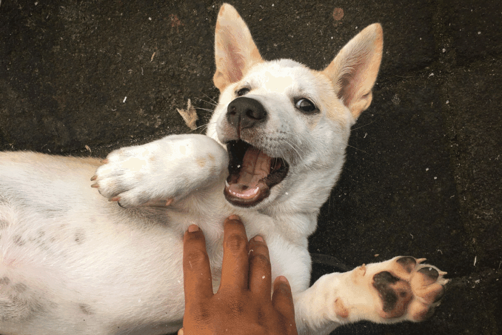 What Not to Do in Bali